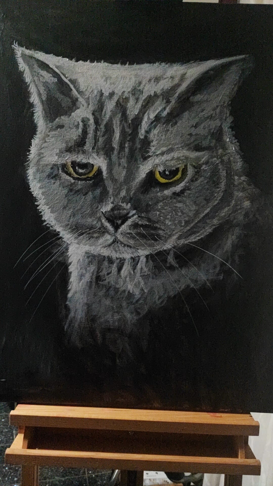 Die Katze der Lehrerin